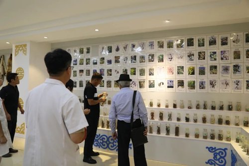 图片31